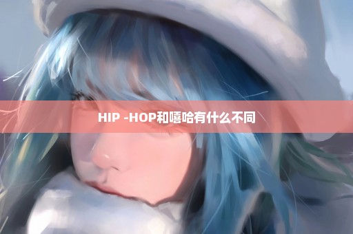 HIP -HOP和嘻哈有什么不同