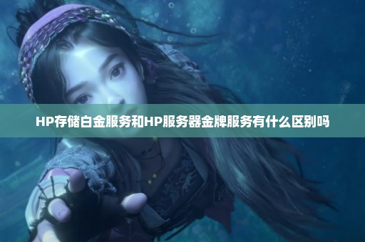 HP存储白金服务和HP服务器金牌服务有什么区别吗