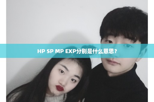 HP SP MP EXP分别是什么意思？