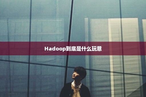 Hadoop到底是什么玩意