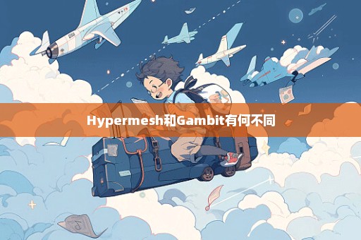 Hypermesh和Gambit有何不同