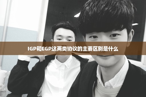 IGP和EGP这两类协议的主要区别是什么