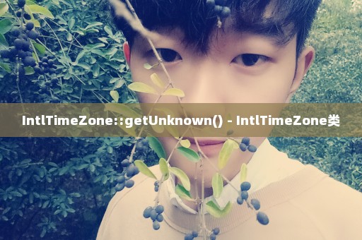 IntlTimeZone::getUnknown() - IntlTimeZone类