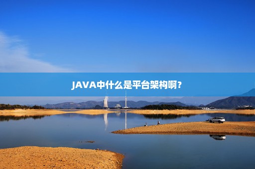 JAVA中什么是平台架构啊？