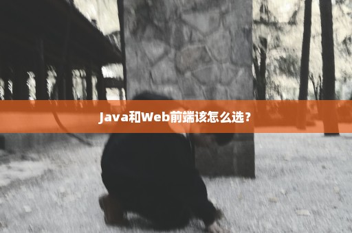 Java和Web前端该怎么选？