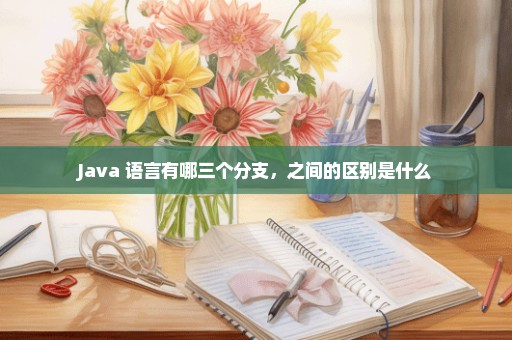 Java 语言有哪三个分支，之间的区别是什么