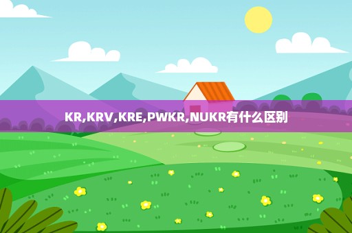 KR,KRV,KRE,PWKR,NUKR有什么区别