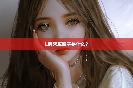 L的汽车牌子是什么？