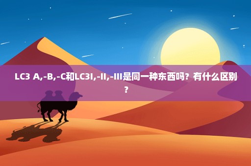 LC3 A,-B,-C和LC3I,-II,-III是同一种东西吗？有什么区别？