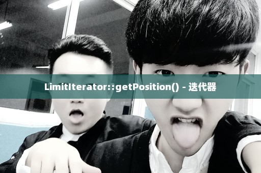 LimitIterator::getPosition() - 迭代器