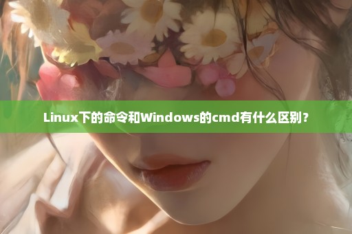 Linux下的命令和Windows的cmd有什么区别？