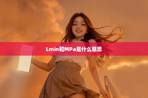 Lmin和MPa是什么意思