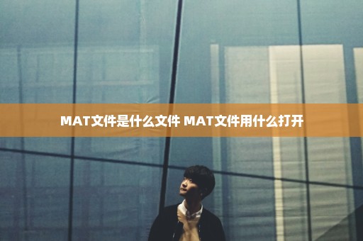 MAT文件是什么文件 MAT文件用什么打开