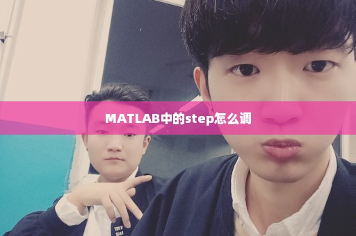 MATLAB中的step怎么调