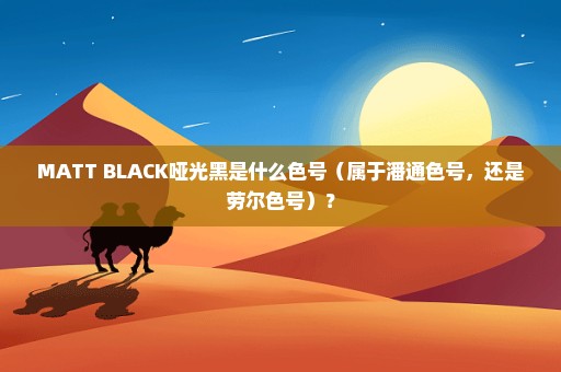 MATT BLACK哑光黑是什么色号（属于潘通色号，还是劳尔色号）？