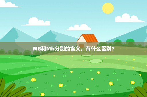 MB和Mb分别的含义，有什么区别？