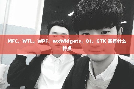 MFC，WTL，WPF，wxWidgets，Qt，GTK 各有什么特点