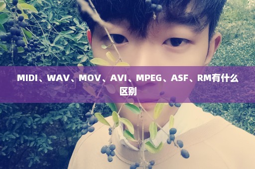 MIDI、WAV、MOV、AVI、MPEG、ASF、RM有什么区别