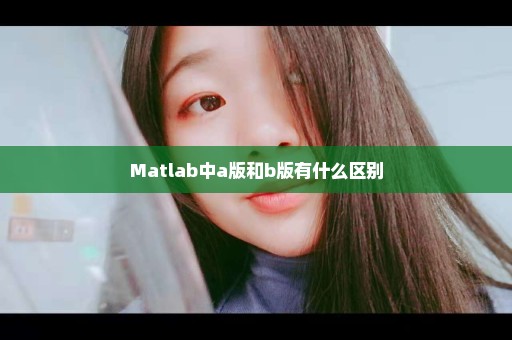 Matlab中a版和b版有什么区别