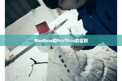 Modbus和Profibus的区别