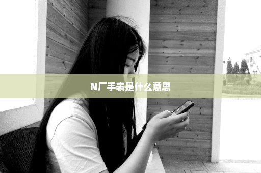 N厂手表是什么意思