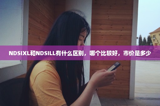 NDSIXL和NDSILL有什么区别，哪个比较好，市价是多少