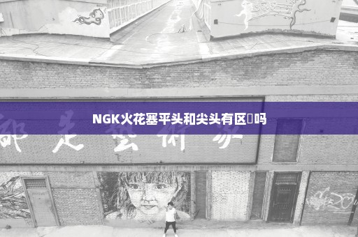 NGK火花塞平头和尖头有区別吗