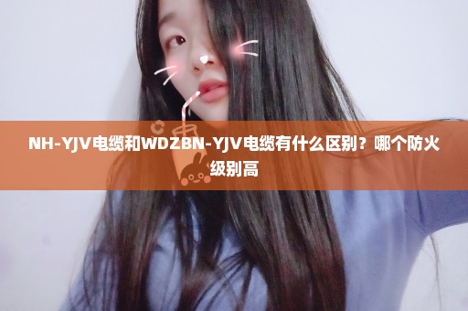 NH-YJV电缆和WDZBN-YJV电缆有什么区别？哪个防火级别高