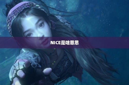 NICE是啥意思