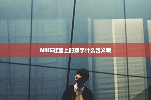 NIKE鞋盒上的数字什么含义哦