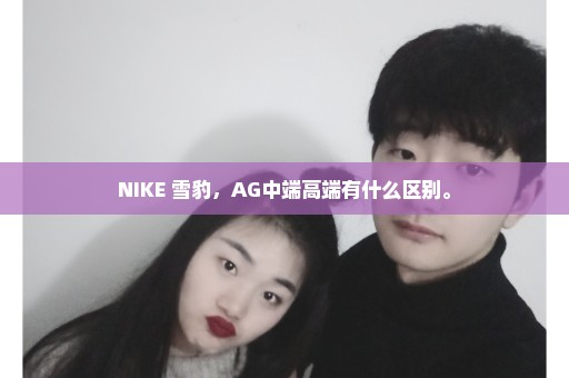 NIKE 雪豹，AG中端高端有什么区别。