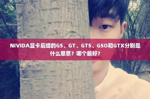 NIVIDA显卡后缀的GS、GT、GTS、GSO和GTX分别是什么意思？哪个最好？