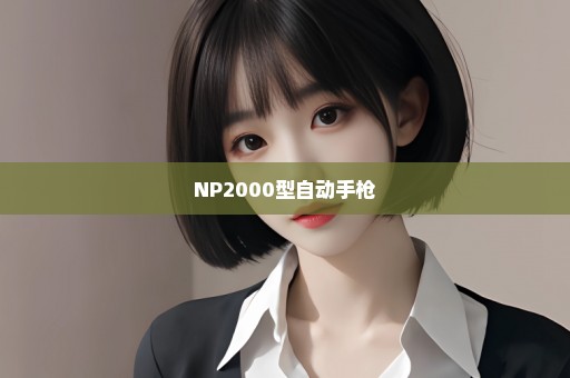 NP2000型自动手枪