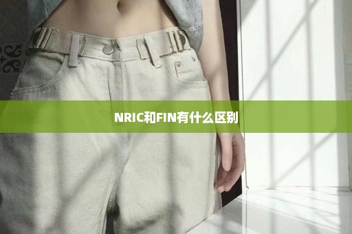 NRIC和FIN有什么区别