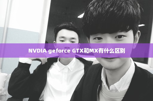 NVDIA geforce GTX和MX有什么区别