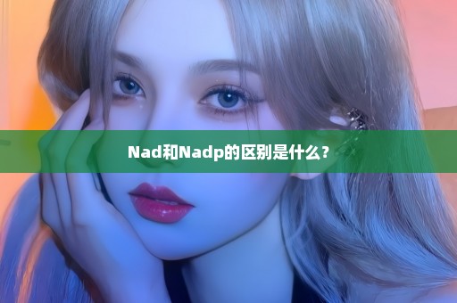 Nad和Nadp的区别是什么？