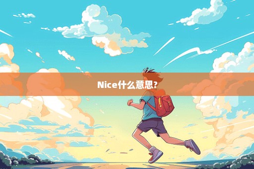 Nice什么意思?