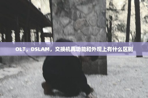 OLT，DSLAM，交换机再功能和外观上有什么区别