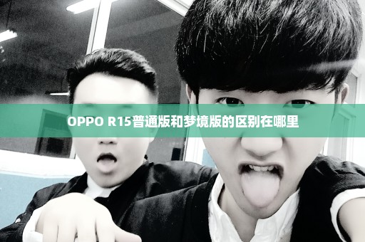 OPPO R15普通版和梦境版的区别在哪里