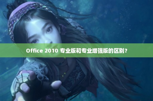 Office 2010 专业版和专业增强版的区别？