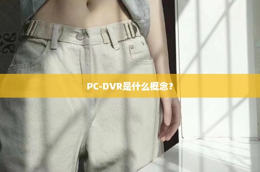 PC-DVR是什么概念？