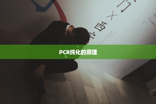 PCR纯化的原理