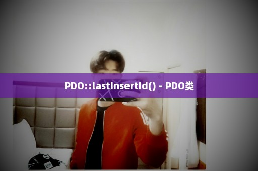 PDO::lastInsertId() - PDO类