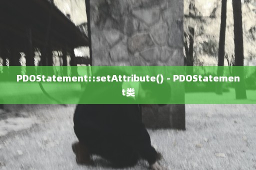 PDOStatement::setAttribute() - PDOStatement类