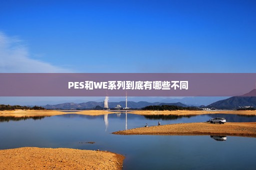 PES和WE系列到底有哪些不同