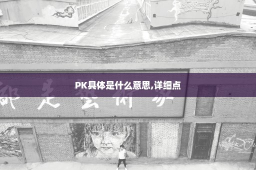 PK具体是什么意思,详细点