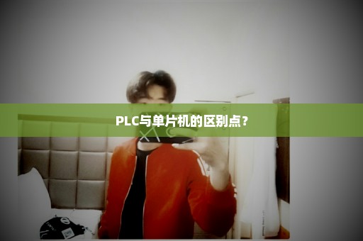 PLC与单片机的区别点？