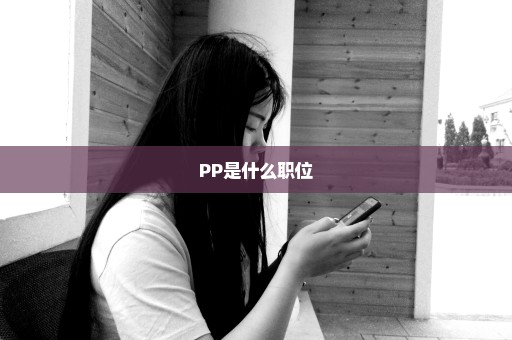 PP是什么职位