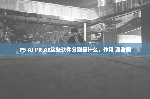 PS AI PR AE这些软件分别是什么，作用 谢谢啊