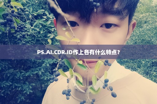 PS.AI.CDR.ID作上各有什么特点？